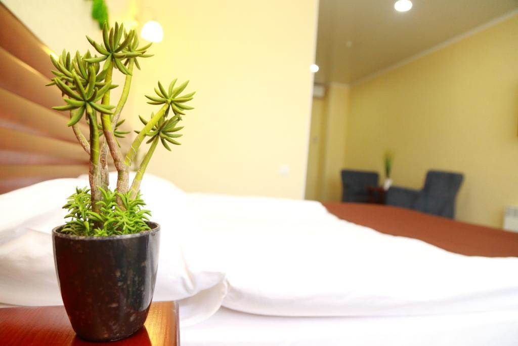 Green City Hotel Μπισκέκ Εξωτερικό φωτογραφία
